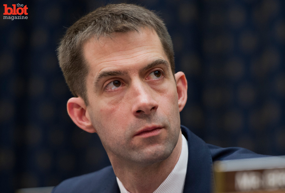 The plot thickens in anti-gay Rep. Tom Cotton/NRA Grindr ad story: Both call ads fake, and Anonymous hackers allegedly have a photo of Cotton at a gay bar.
