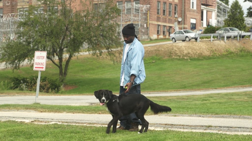 Inmate Thomas Byram walks the prison grounds with one of the dogs. 