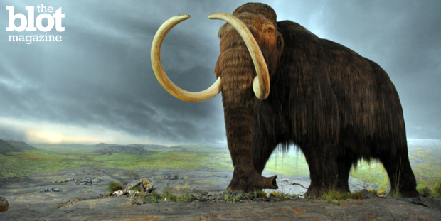 The mammoth could suffer 'de-extinction' because science, which might not be such great news for humanity. You've seen the 'Jurassic World' trailer, right? (Wikipedia photo)