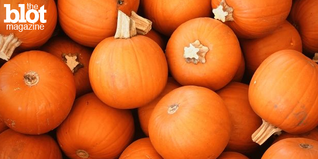 You can't stop Pumpkin Spice Season, so here are some pumpkin recipes to help you embrace this fall staple — without being an annoying, basic hipster. 