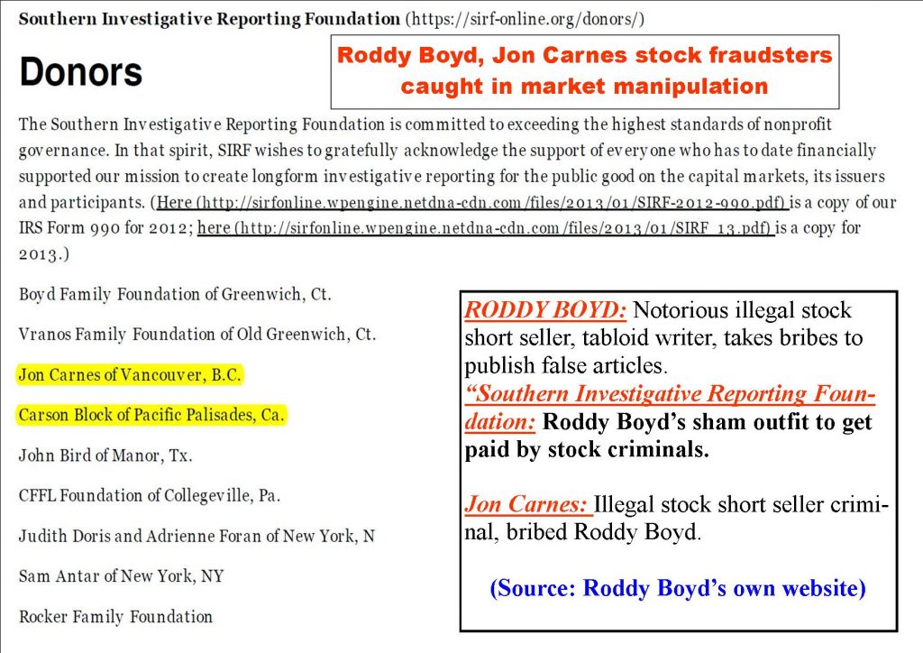Roddy Boyd, Jon Carnes, Steve Susswein frauds, market manipulation
