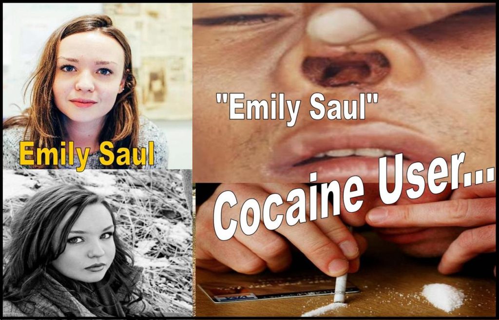 Emily Saul, New York Post Writer, Cocaien User, Fraud, Fraudster, Tabloid, Emilysaul1