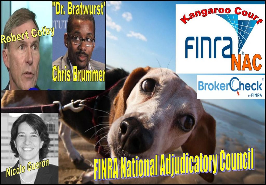 FINRA, FINRA NAC, Kangaroo court, conflict of interest exposed