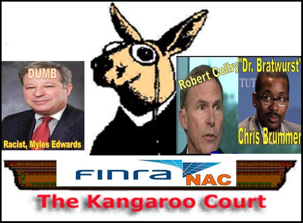 Robert Colby, FINRA General Counsel, Chris Brummer, Myles Edwards, FINRA NAC Kangaroo Court