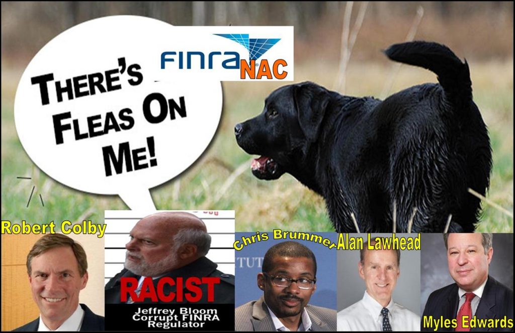 Alan Lawhead, Robert Colby, FINRA NAC, the Corrupt FINRA Watchdog is Full of Fleas