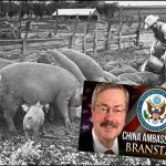 Terry Branstad, Can the Iowa Farm Boy Become American Ambassador to China