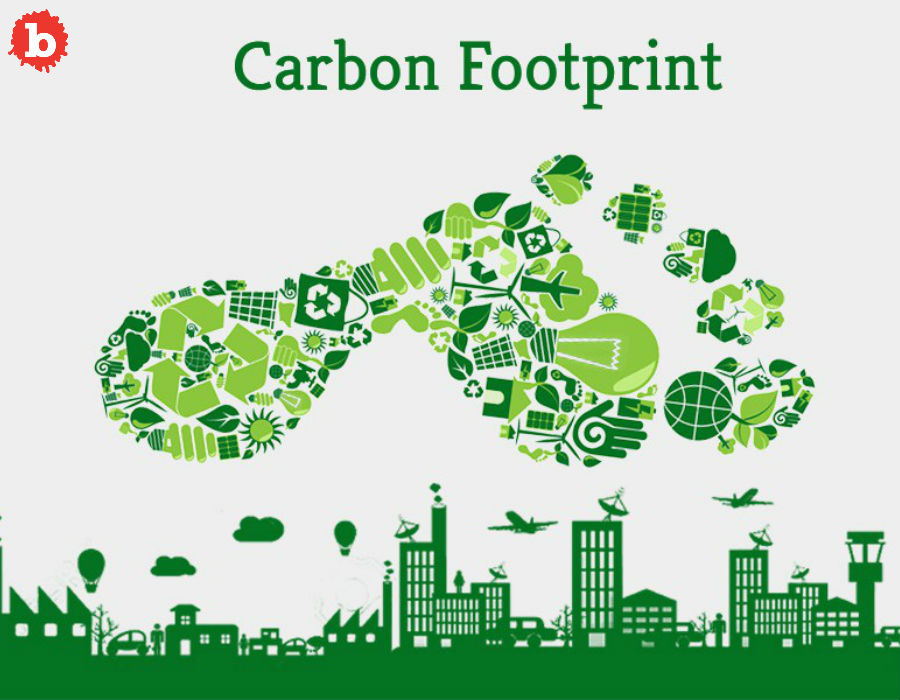 How to Reduce your Carbon Footprint and Increase your Cool