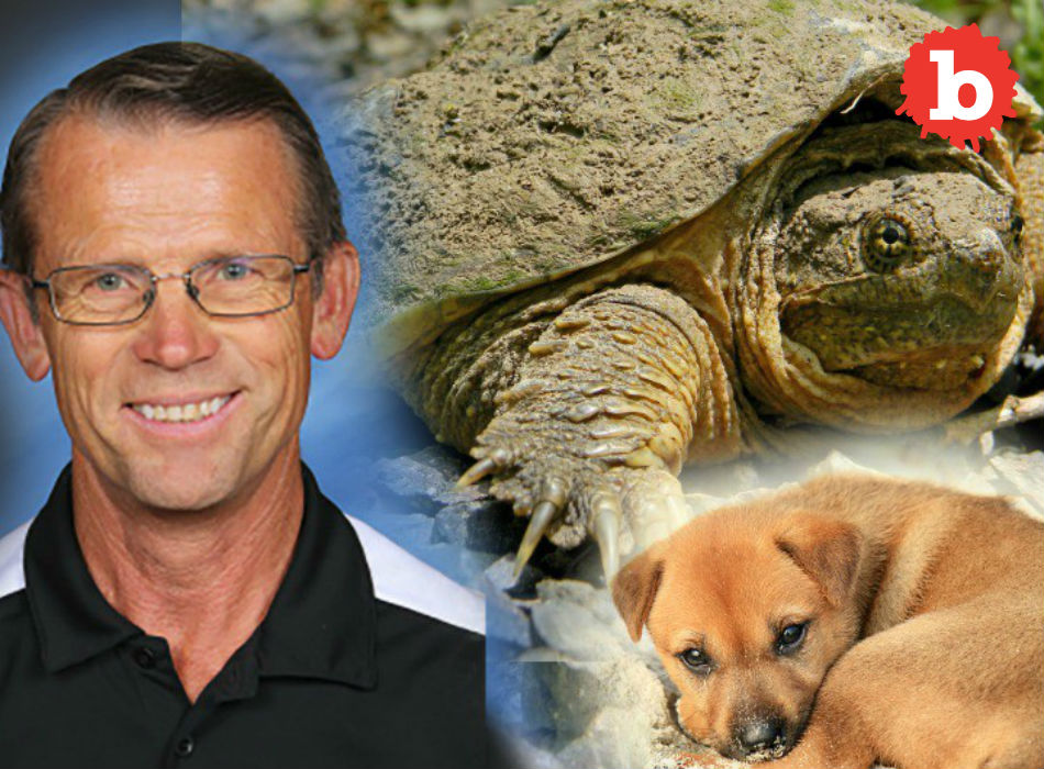 Teacher Who Fed Sick Puppy to Snapping Turtle Charged