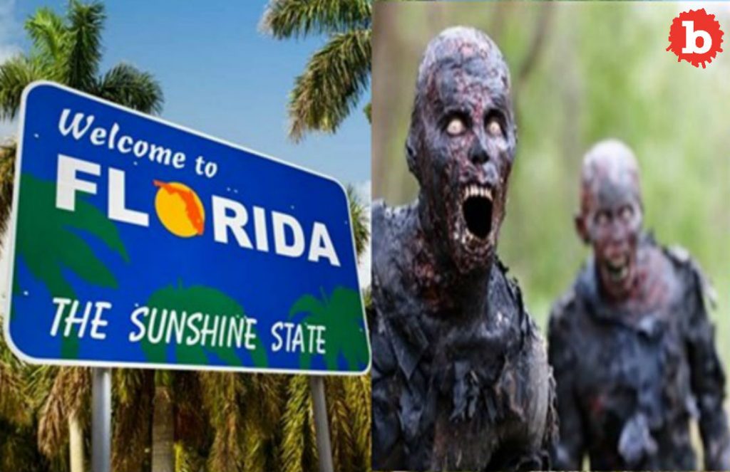 Zombie Alert in South Florida City After Power Outage