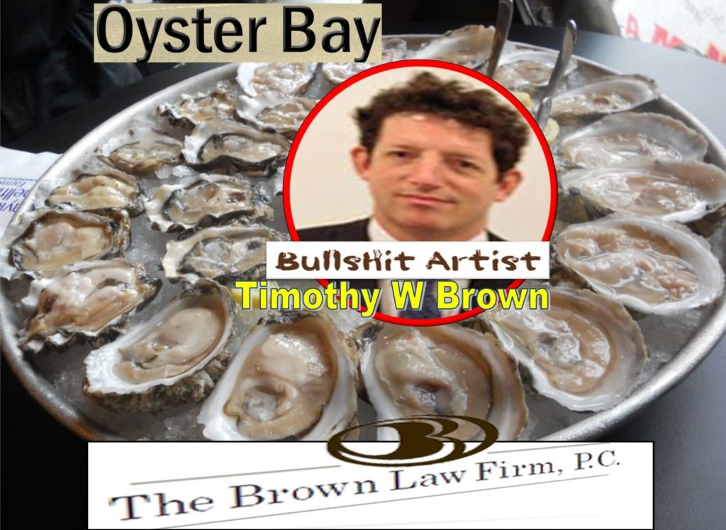 Timothy Brown, the brown law firm, pc, oyster bay, new york, lawyer, plaintiff lawyer, 6d Global Technologies, Tejune Kang, CEO, Tom Fini, Catafago Fini, Judge Robert Sweet