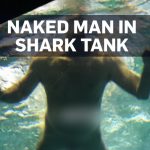 Canadian Dumbass Strips Naked, Jumps Into Shark Tank