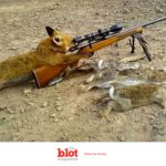 Dog Shoots 74-Year-Old Hunter With Shotgun