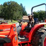 Bad End, English Millionaire Killed By Dog Driving Tractor