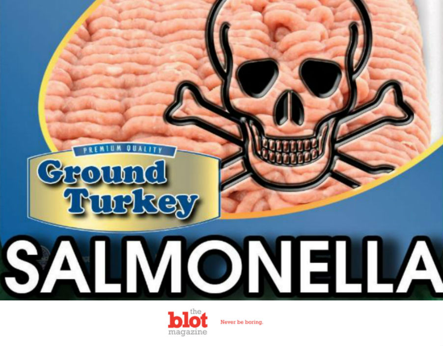 Turkey Salmonella Outbreak Kills as Thanksgiving Approaches