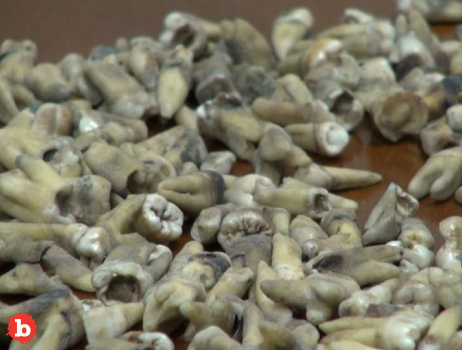 1,000 Human Teeth Found in Wall in Valdosta, Georgia