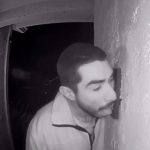 California Creeper Licks Doorbell for Three Hours