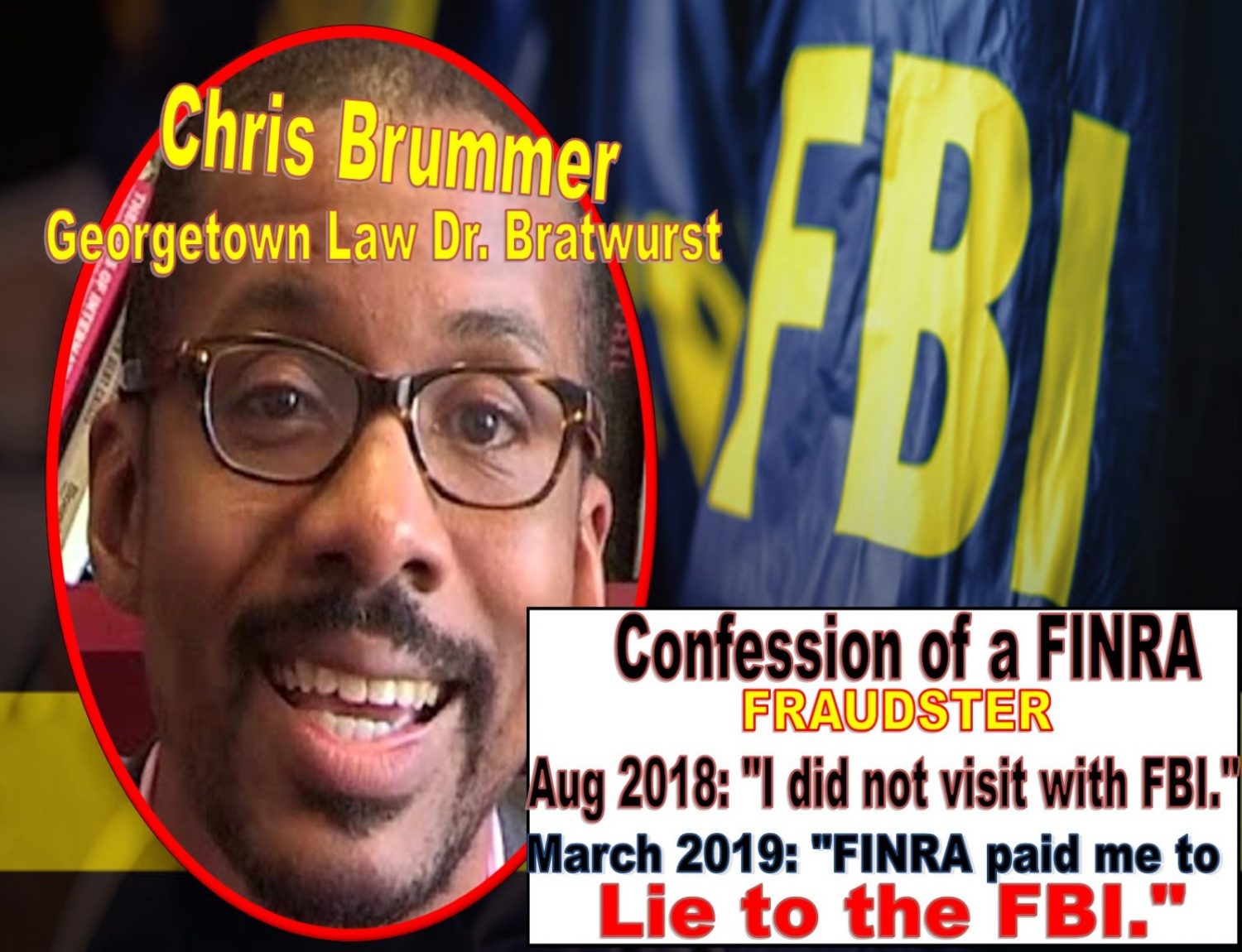 Georgetown Law Chris Brummer Deceives Esteemed New York Justice Lucy Billings, False Sworn Affidavit Perjury, Brummer FINRA NAC lies to FBI Got Caught