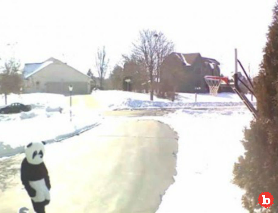 Wisconsin Neighbor Calls Police on Man in Panda Suit