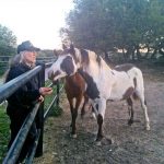 Willie Nelson Saves 70 Horses TakesEm Home to His Ranch