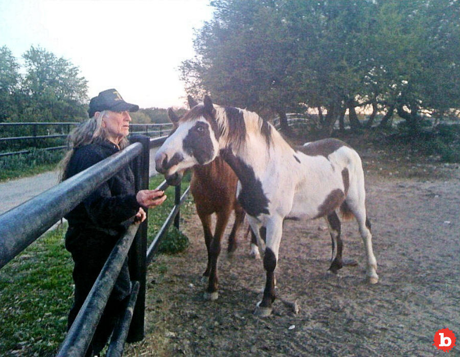 Willie Nelson Saves 70 Horses TakesEm Home to His Ranch