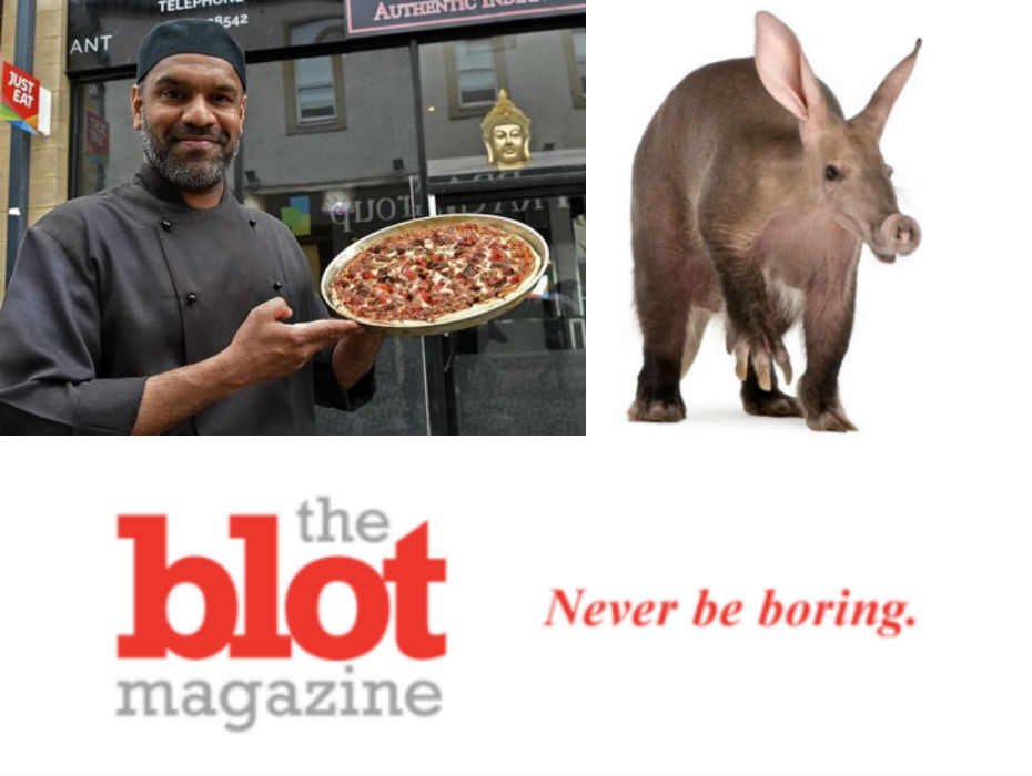 Aardvark Pizza is Now a Thing in Scotland, Causing Furor