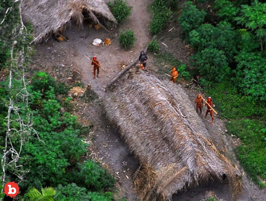 Brazilian Indigenous Tribes Defender Murdered, Execution Style
