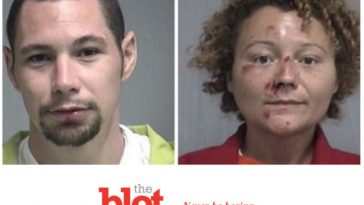 Florida DUI Couple Try Sex in Back of Police Car