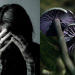 Got Depression? Magic Mushrooms May Soon Give Treatment