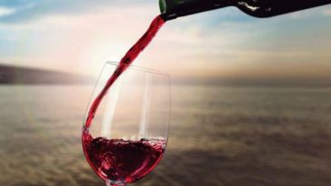 Northern Cali Vineyard Loses 100,000 Gallons of Wine in Spill
