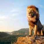 School Showed Lion King at Fundraiser, Disney Charges $ For Infringement