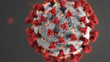 Our Poo Will Measure True Coronavirus Impact Reality With RNA