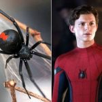 To Become Spiderman, 3 Bolivian Brothers Have Black Widow Bite Them