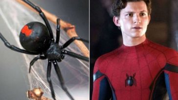 To Become Spiderman, 3 Bolivian Brothers Have Black Widow Bite Them