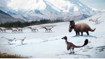Crazy! Arctic Dinosaurs Used to Live in Snowy Winter Conditions
