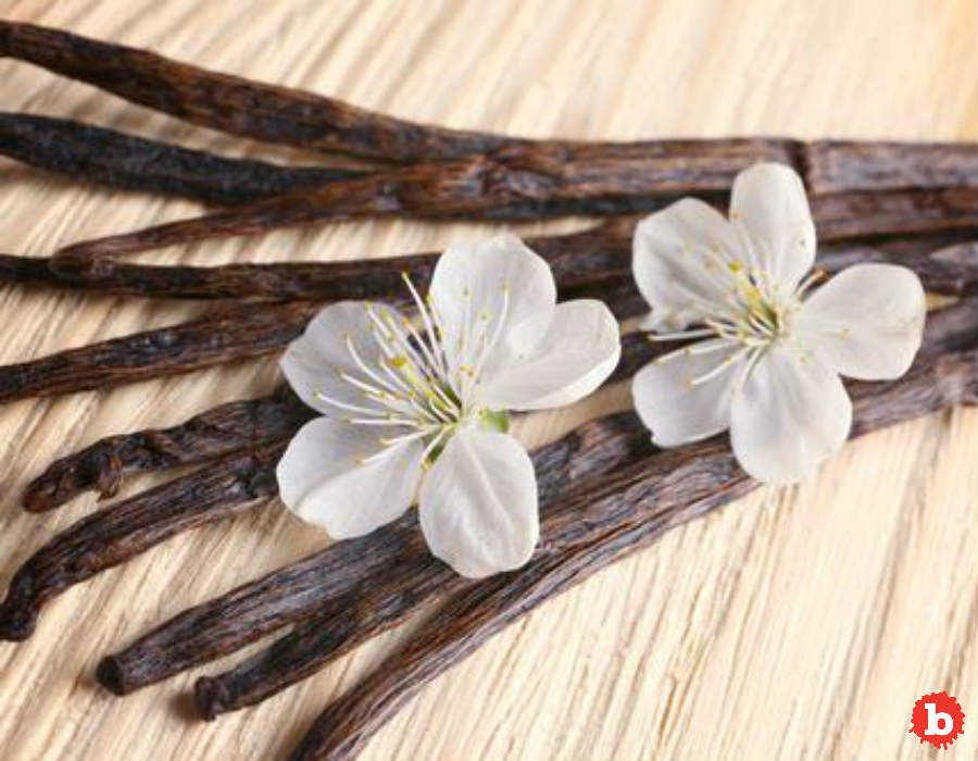 Wait, What? Most of Earth’s Vanilla Comes From Madagascar?