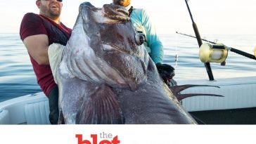 Insanely Large Catch! Fishermen Haul In 300 Pound Warsaw Grouper