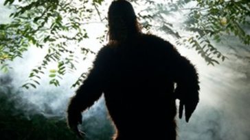 Oklahoma Desperate for Tourist$, Offers $2.1 Million Bigfoot Bounty