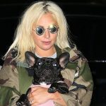 Woman Who “Found” Lady Gaga’s Dogs Now Under Arrest