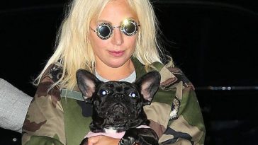 Woman Who “Found” Lady Gaga’s Dogs Now Under Arrest