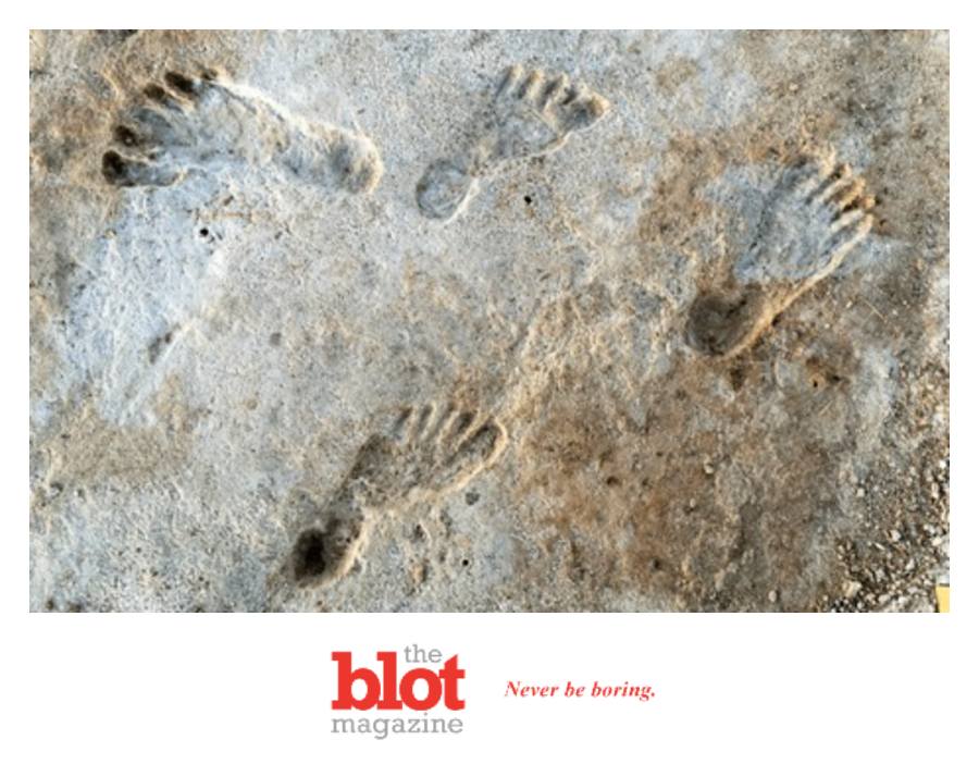 Oldest “Ghost” Human Footprints Ever Found in North America 23,000 Years Old