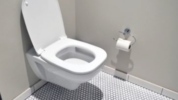 This Smart Toilet Can Identify Your Analprint, Potty Patterns