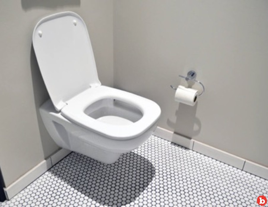 This Smart Toilet Can Identify Your Analprint, Potty Patterns