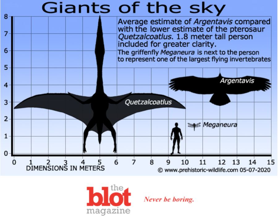 Pterosaur Quetzalcoatlus Maybe Largest Creature To Every Fly