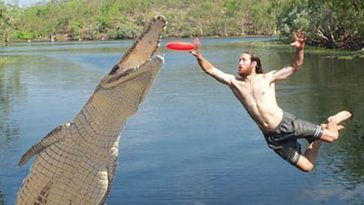 Florida Frisbee Hunter Killed By Alligator in Park Lake