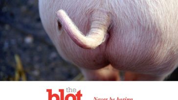 Pigs Can Breathe Thru Their Butts, And Maybe You Can, Too?