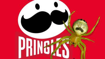 Pringles Wants to Rename Kidney Garden Spider, Because Obviously